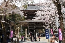 ≪ハイキングツアー≫★上級者専用コース★【名古屋駅発】*日帰り軽食弁当付* 『横蔵寺から桜アーチの谷汲山華厳寺へ』1